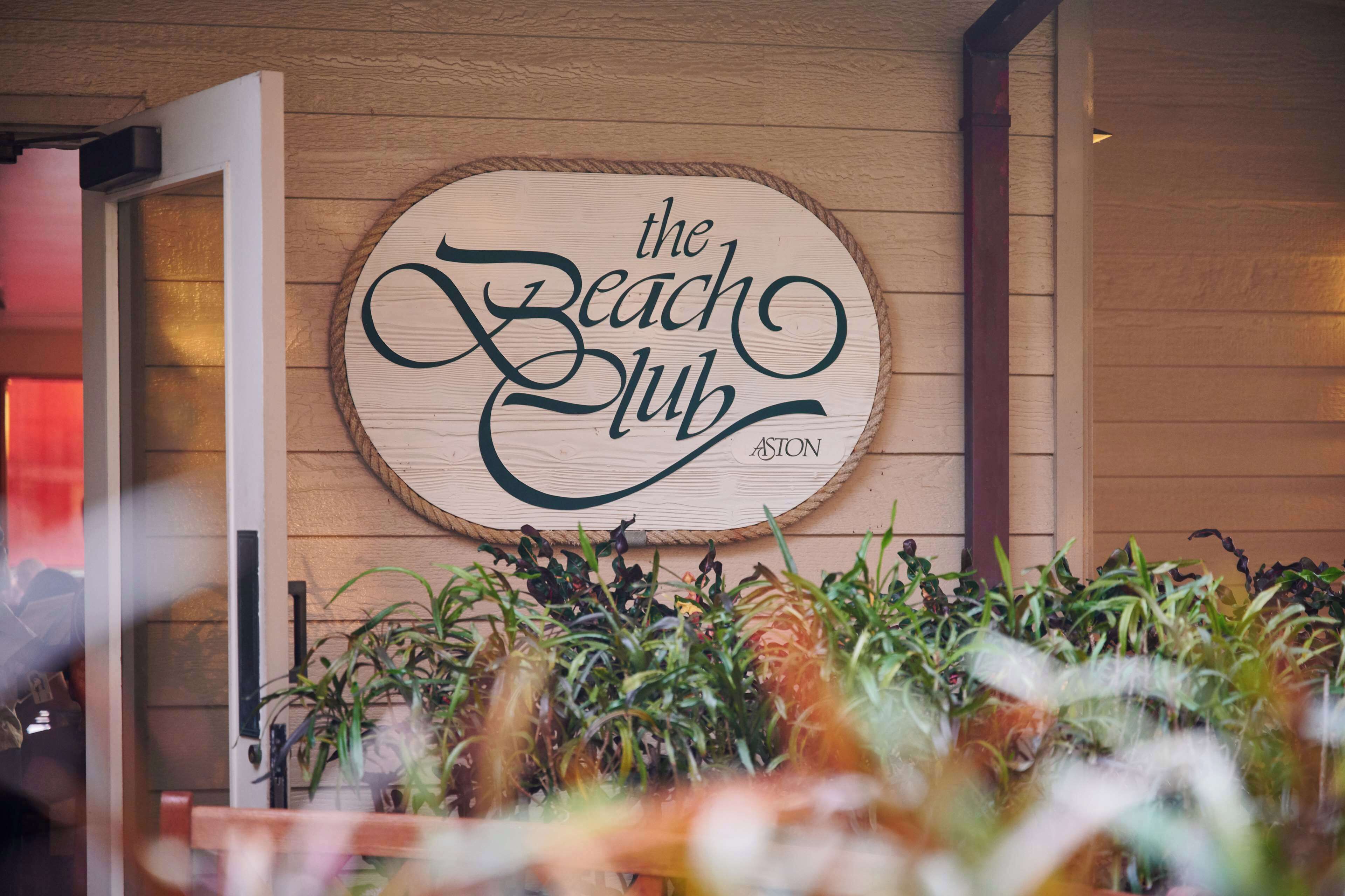 Pared de madera con un letrero que dice "the Beach Club" y una planta en maceta al frente.