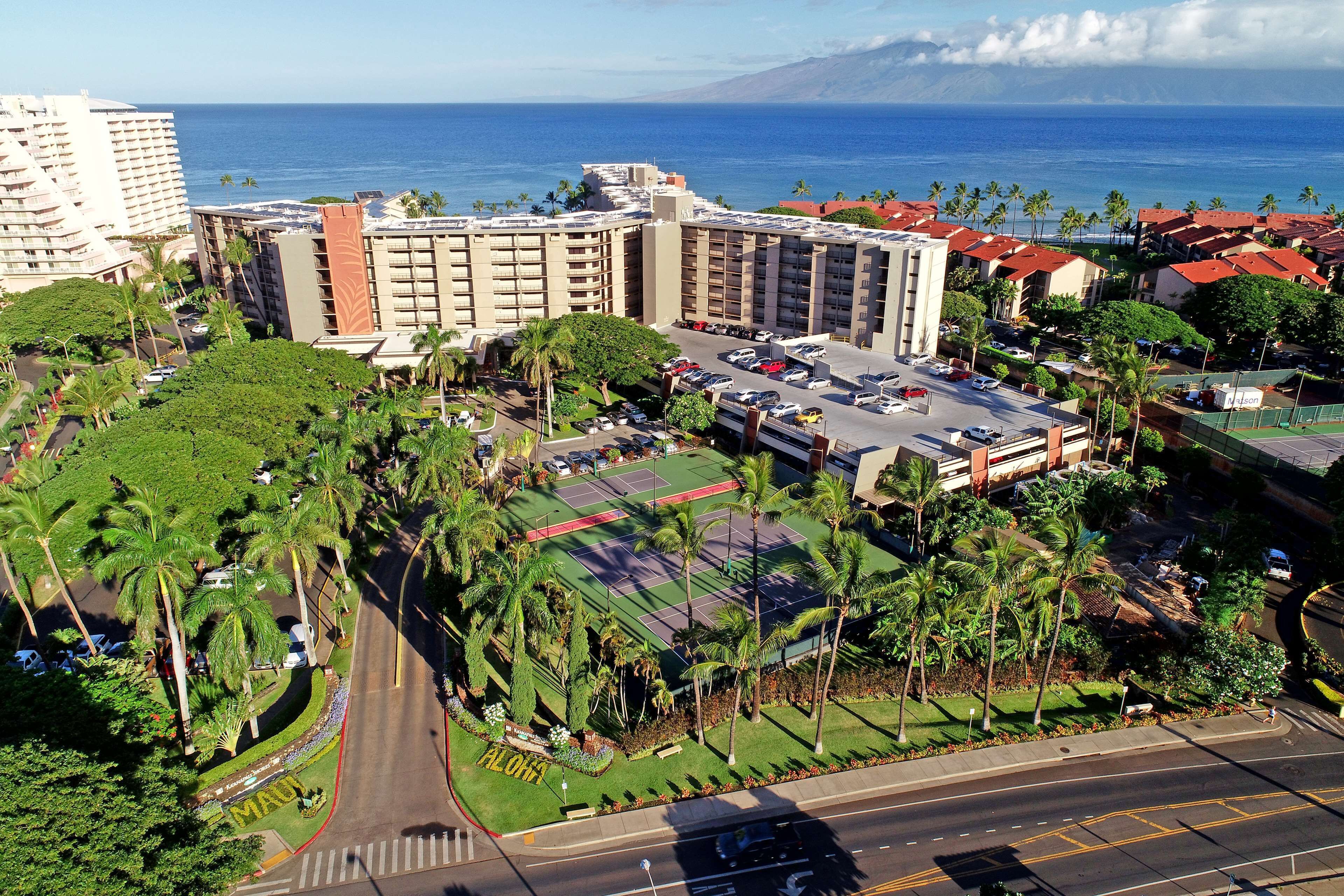 Un hotel con un amplio estacionamiento, rodeado de palmeras y vistas al océano.