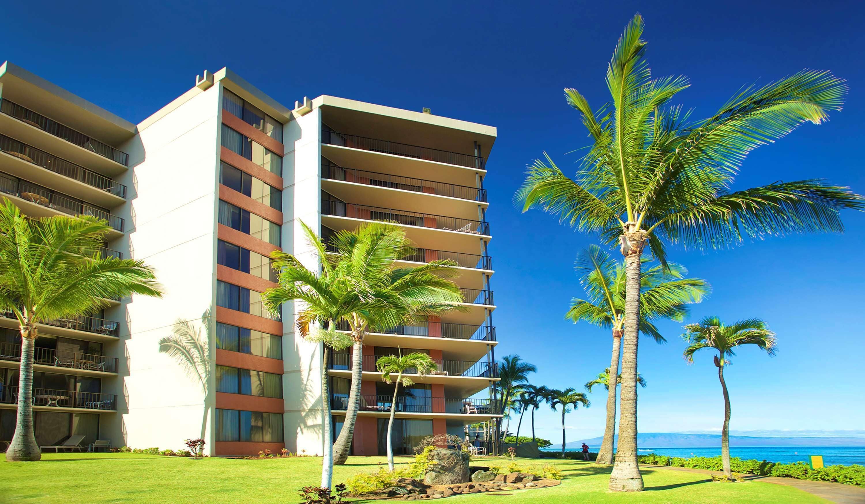 A multi-story hotel with balconies, palm trees, and a view of the ocean.