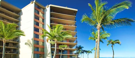 A multi-story hotel with balconies, palm trees, and a view of the ocean.