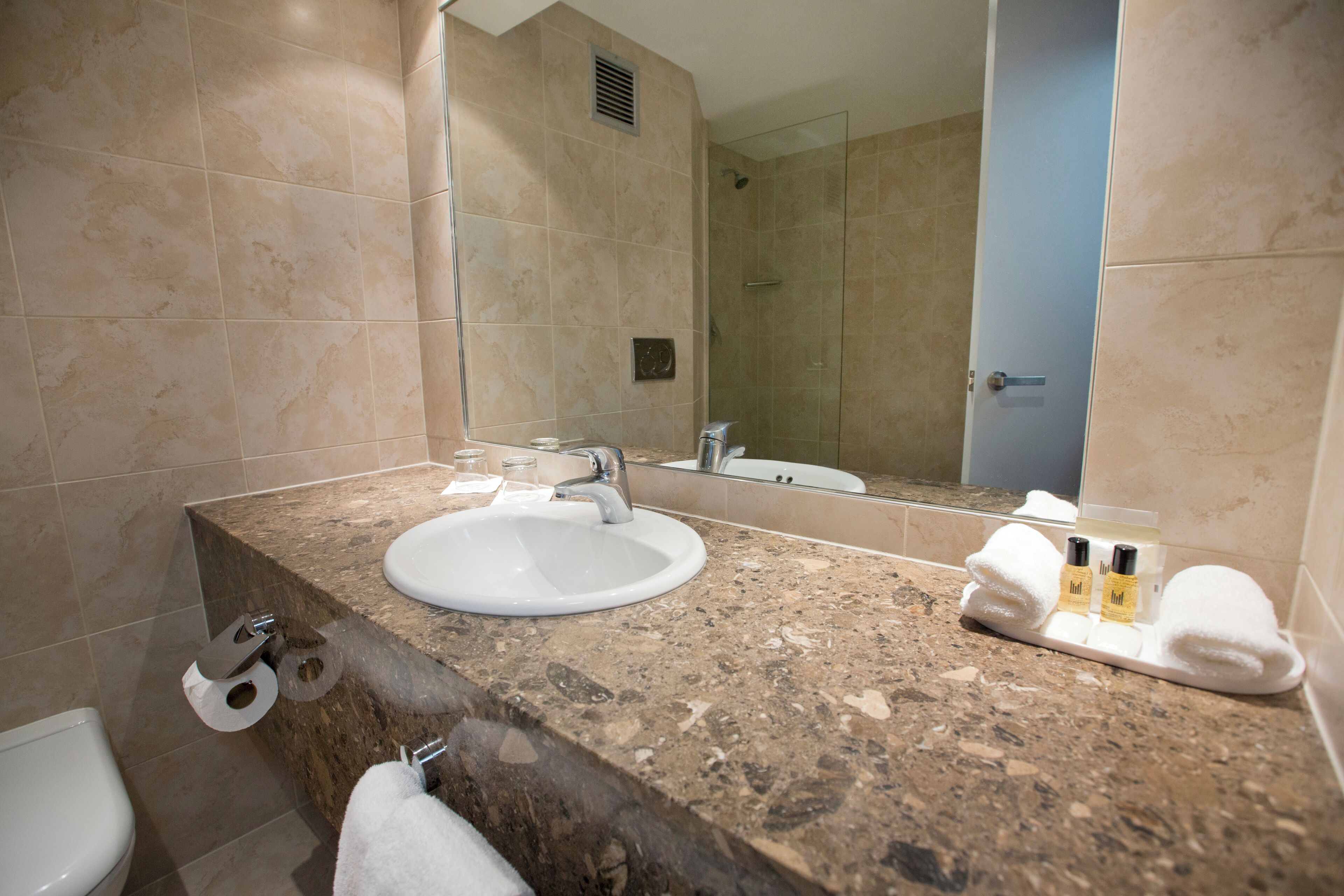 A bathroom with a marble sink, a mirror, a shower, and a toilet.