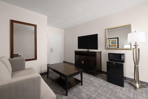 Habitación de hotel con sofá, televisión, un mueble bajo, microondas y lámpara.