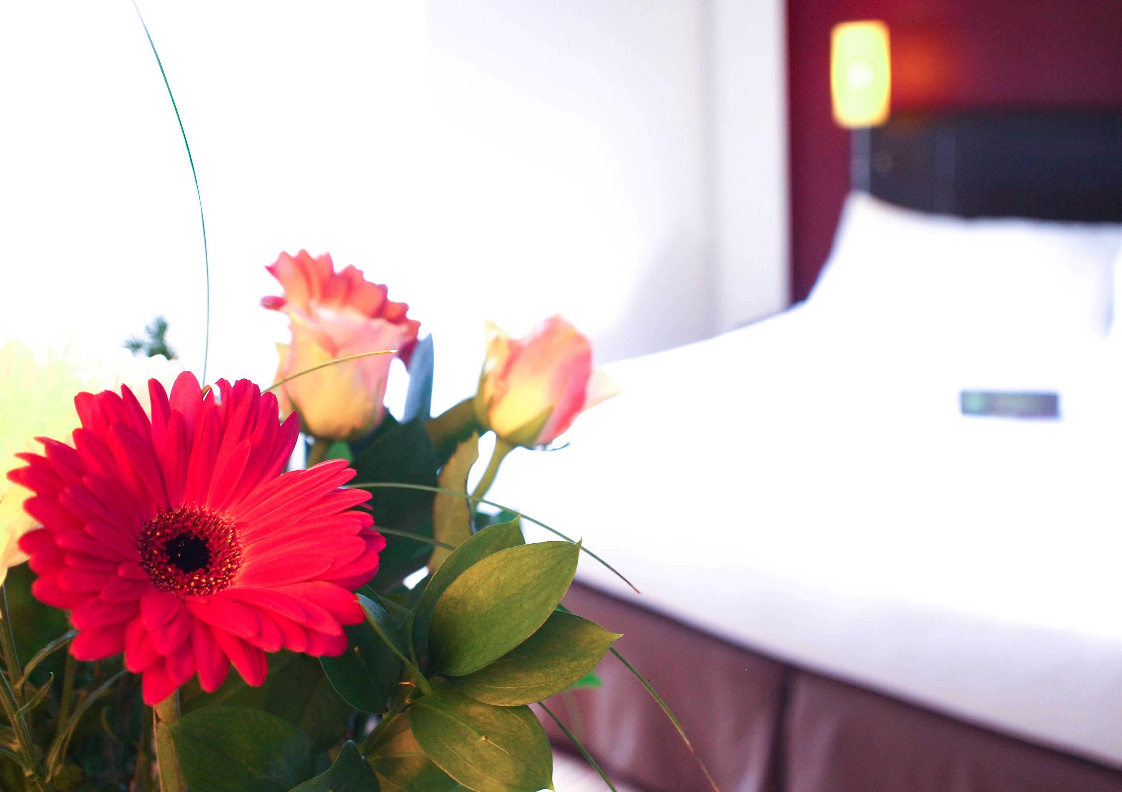 Foto - ibis Styles Nantes Centre Place Royale