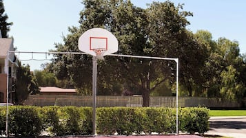 An outdoor basketball court with a hoop and net, surrounded by trees and a fence.