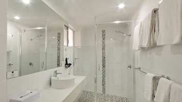 Shower, eco-friendly toiletries, hair dryer, towels