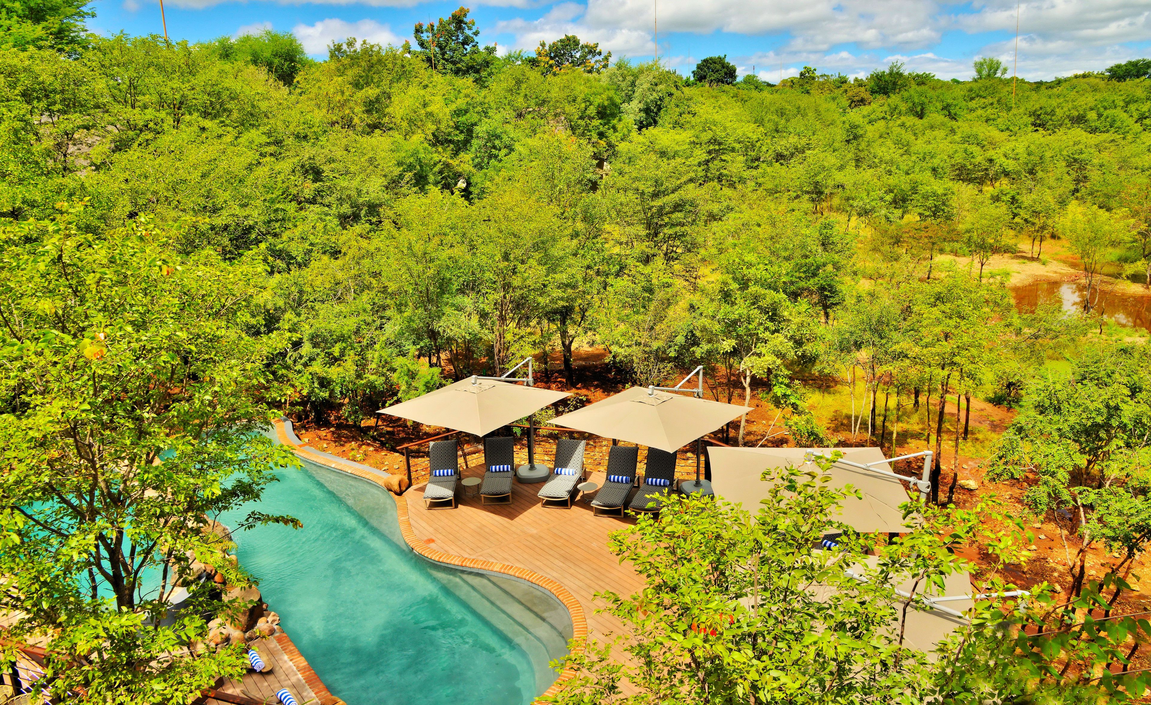 A pool area with lounge chairs and umbrellas, surrounded by lush greenery and a clear sky.