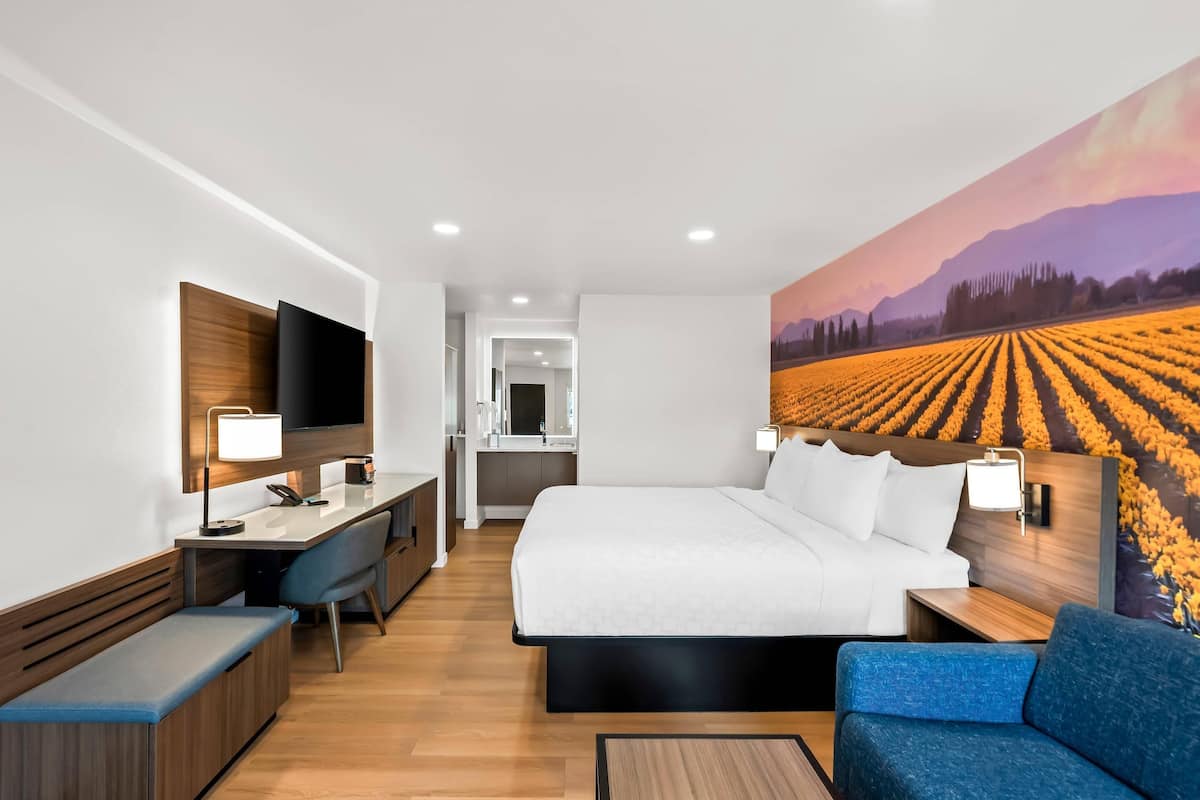 A modern hotel room with a large bed, a desk, a TV, and a mural of a field.