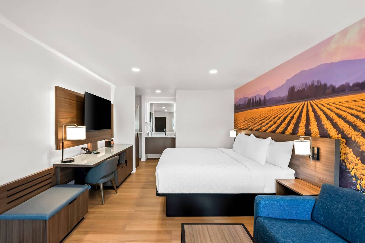 Habitación estándar, 1 cama King size, para no fumadores, patio | Caja de seguridad en la habitación y escritorio