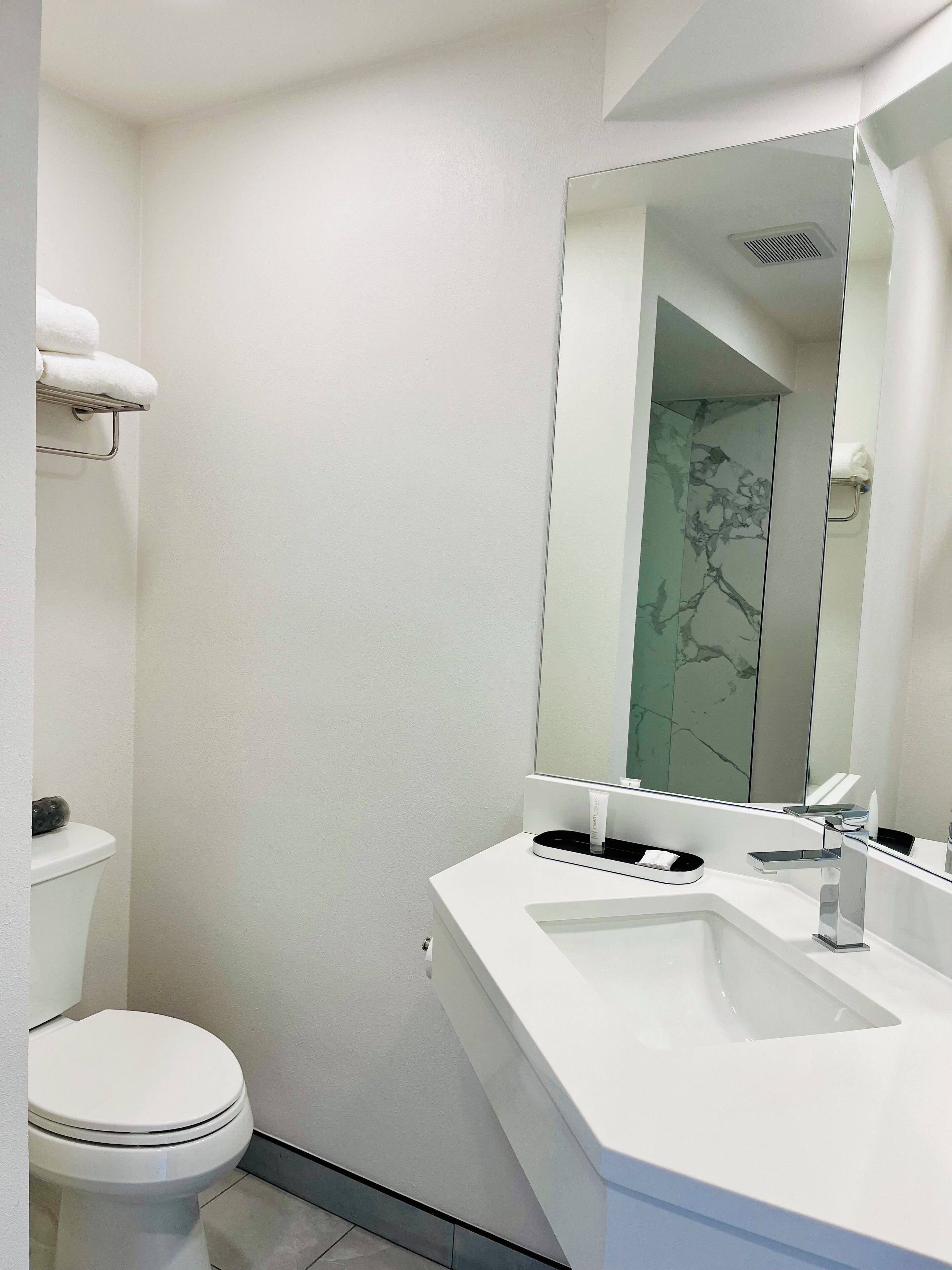 A modern bathroom with a white toilet, a large mirror, and a white sink.