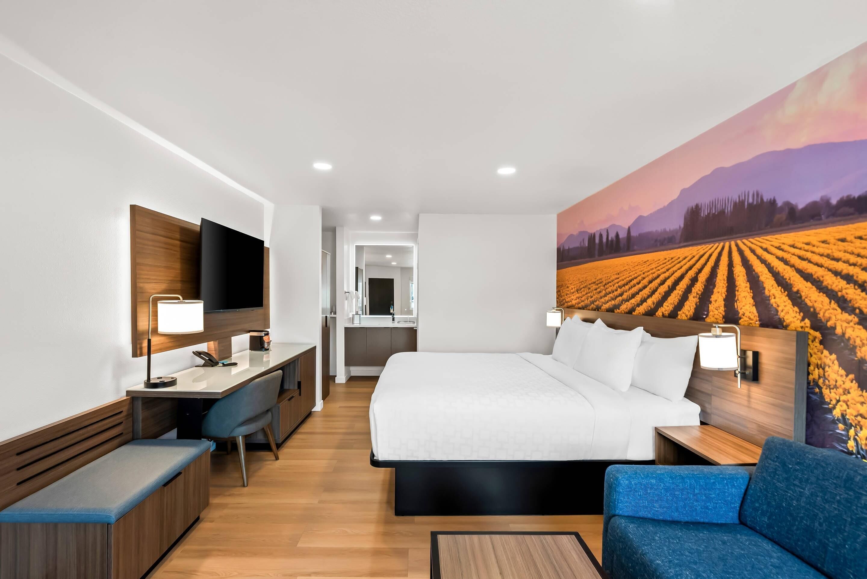 Standard Room, 1 King Bed, Non Smoking, Patio | In-room safe, desk, laptop workspace, iron/ironing board