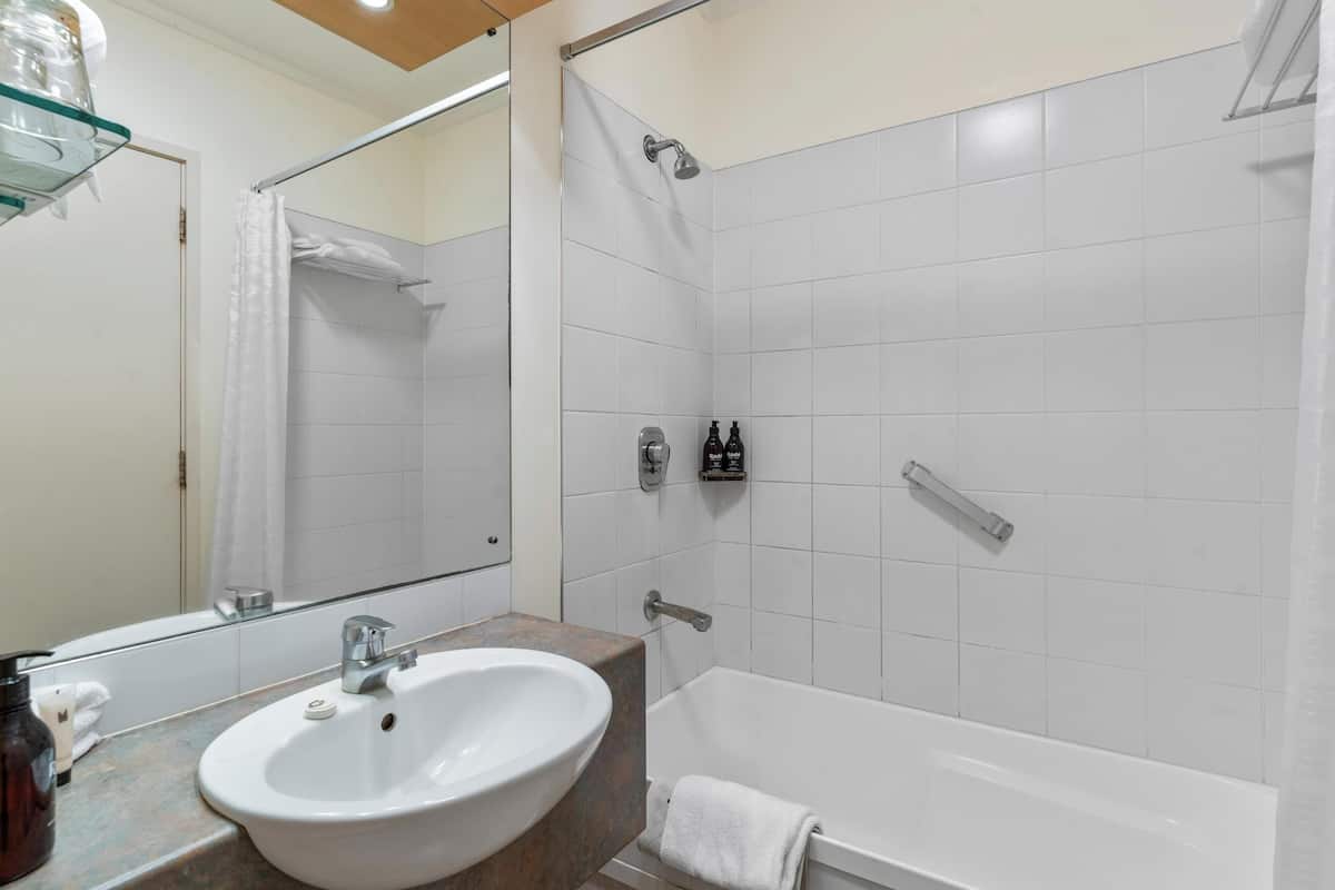 Combined shower/tub, free toiletries, hair dryer, towels