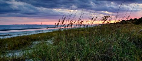 A coastal landscape with a beach, grassy dunes, and a sunset over the horizon.