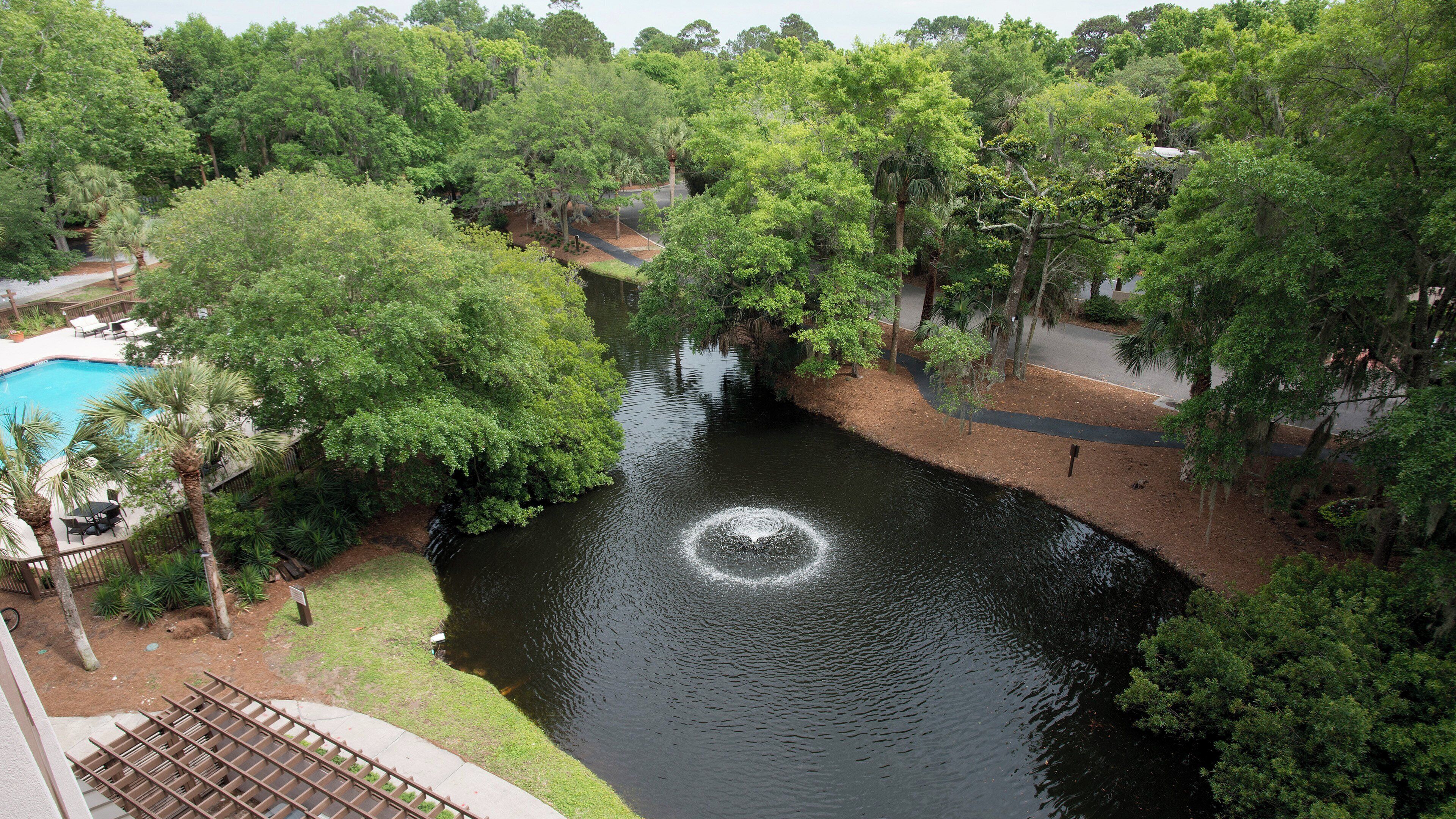 A river with a fountain, surrounded by dense greenery and a pool area with lounge chairs.
