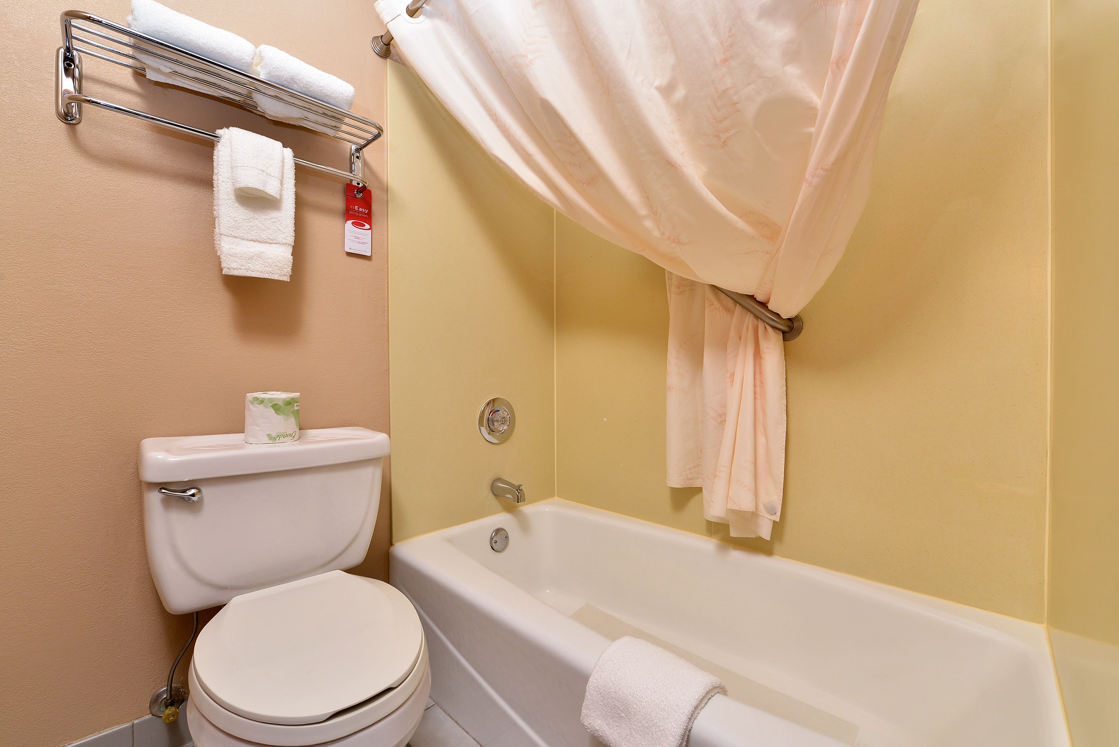 combined shower/bathtub, free toiletries, hair dryer, towels