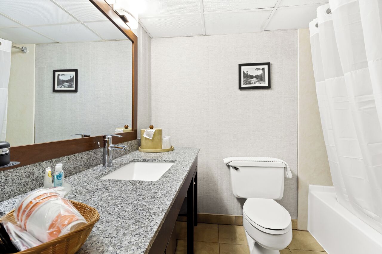Een badkamer met een granieten aanrecht, een wit toilet en twee ingelijste foto’s aan de muur.