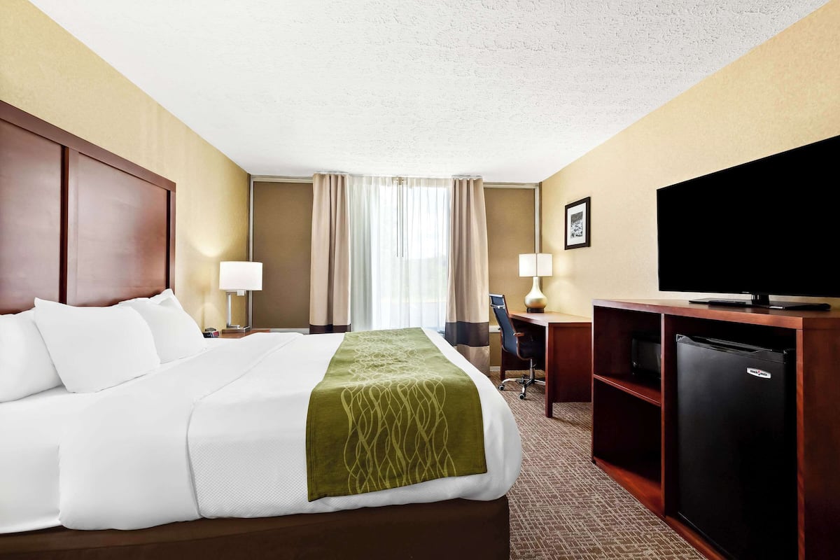A hotel room with a bed, a desk, a television, and a refrigerator.