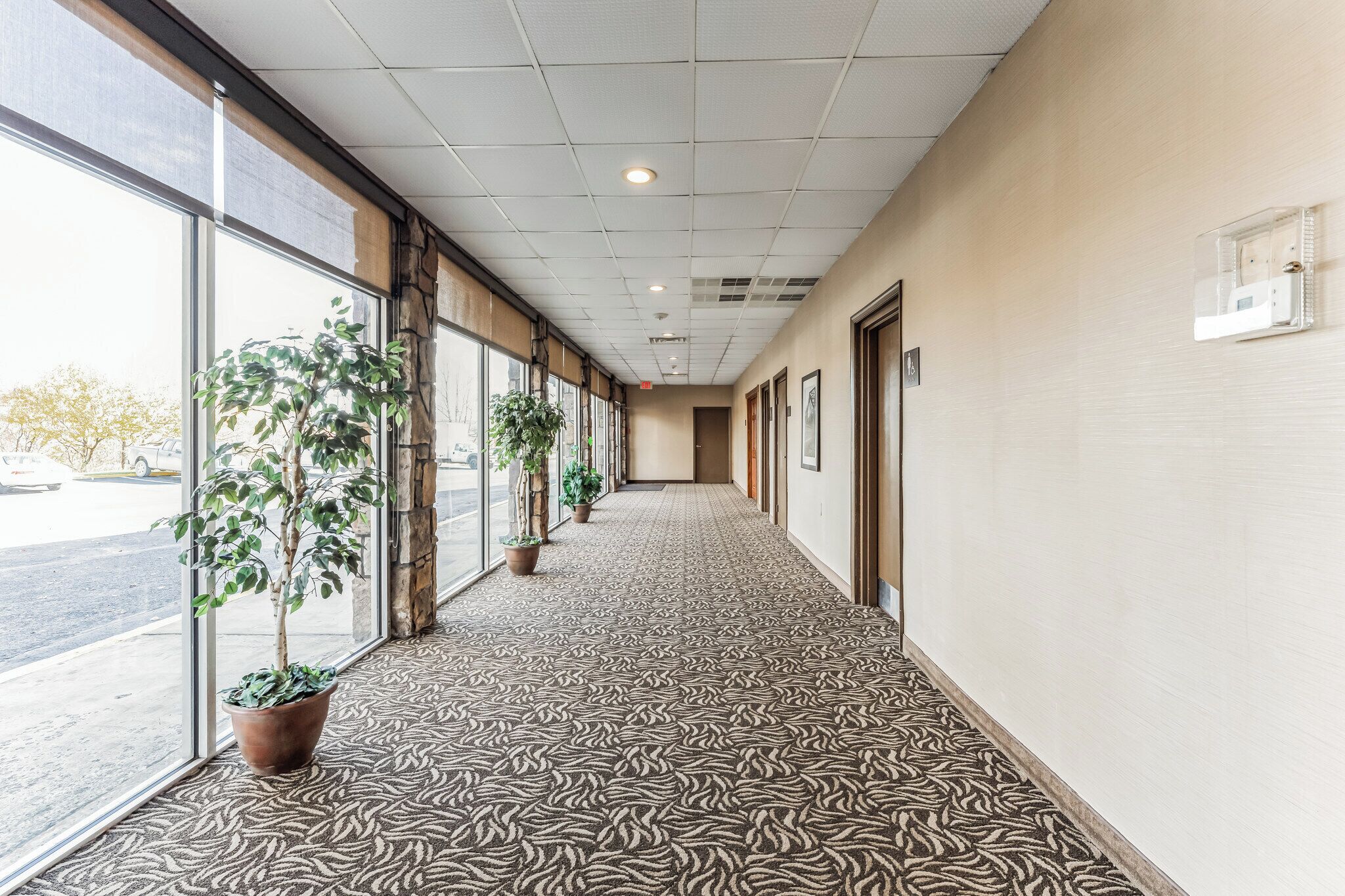 A hallway with patterned carpet, large windows, and potted plants.