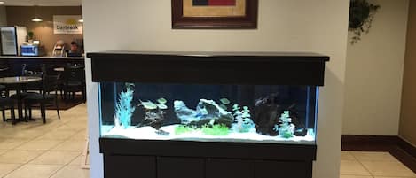Een aquarium met verschillende waterplanten en vissen, in een eetgedeelte met tafels en stoelen.