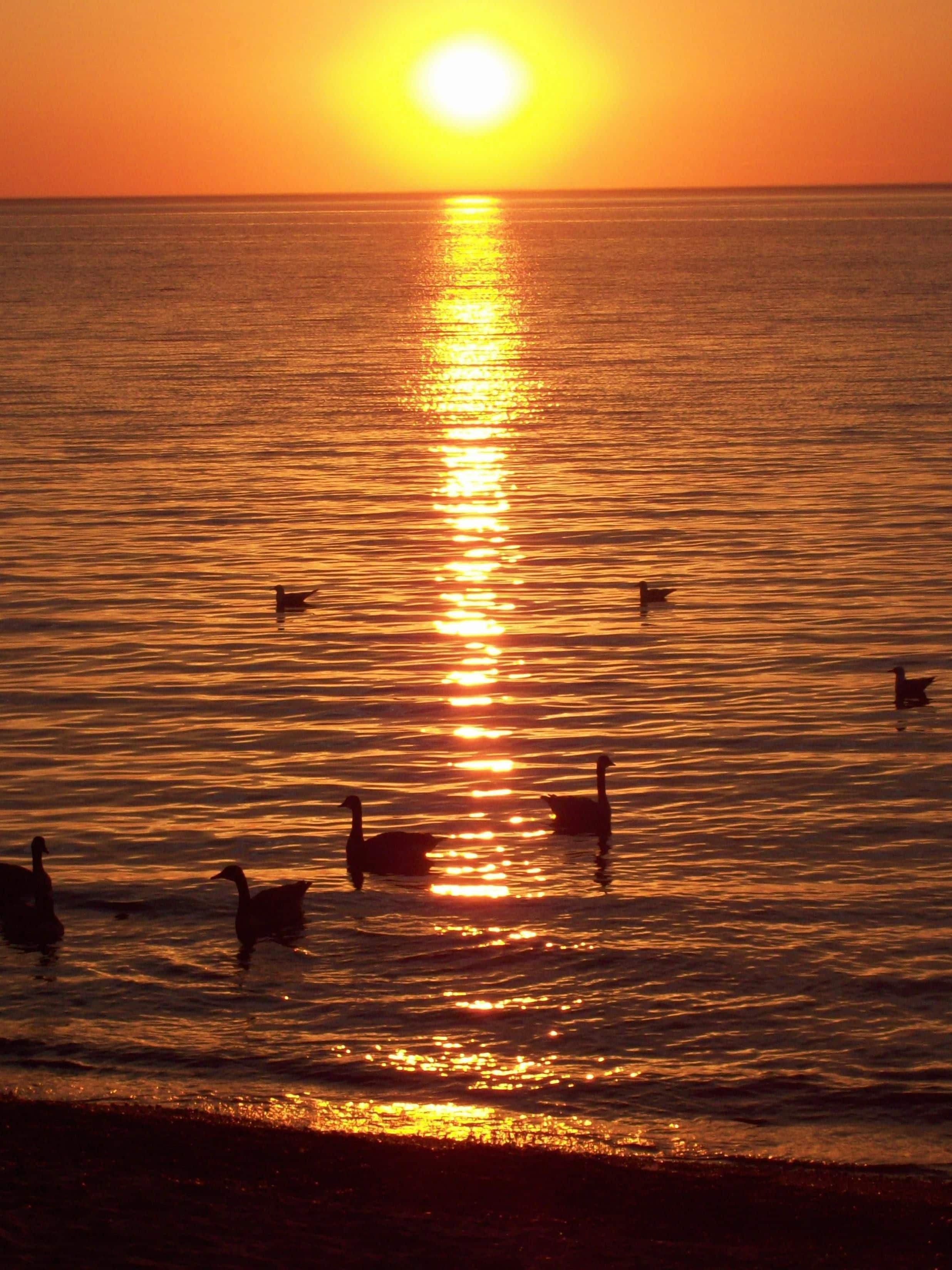 room, 2 queen beds, non smoking, lake view | lake view