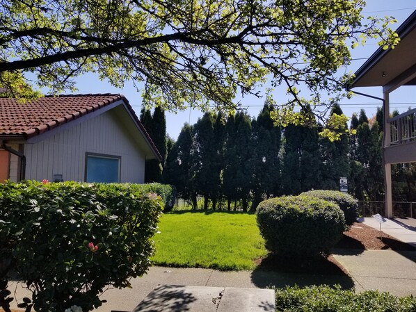 Área da propriedade