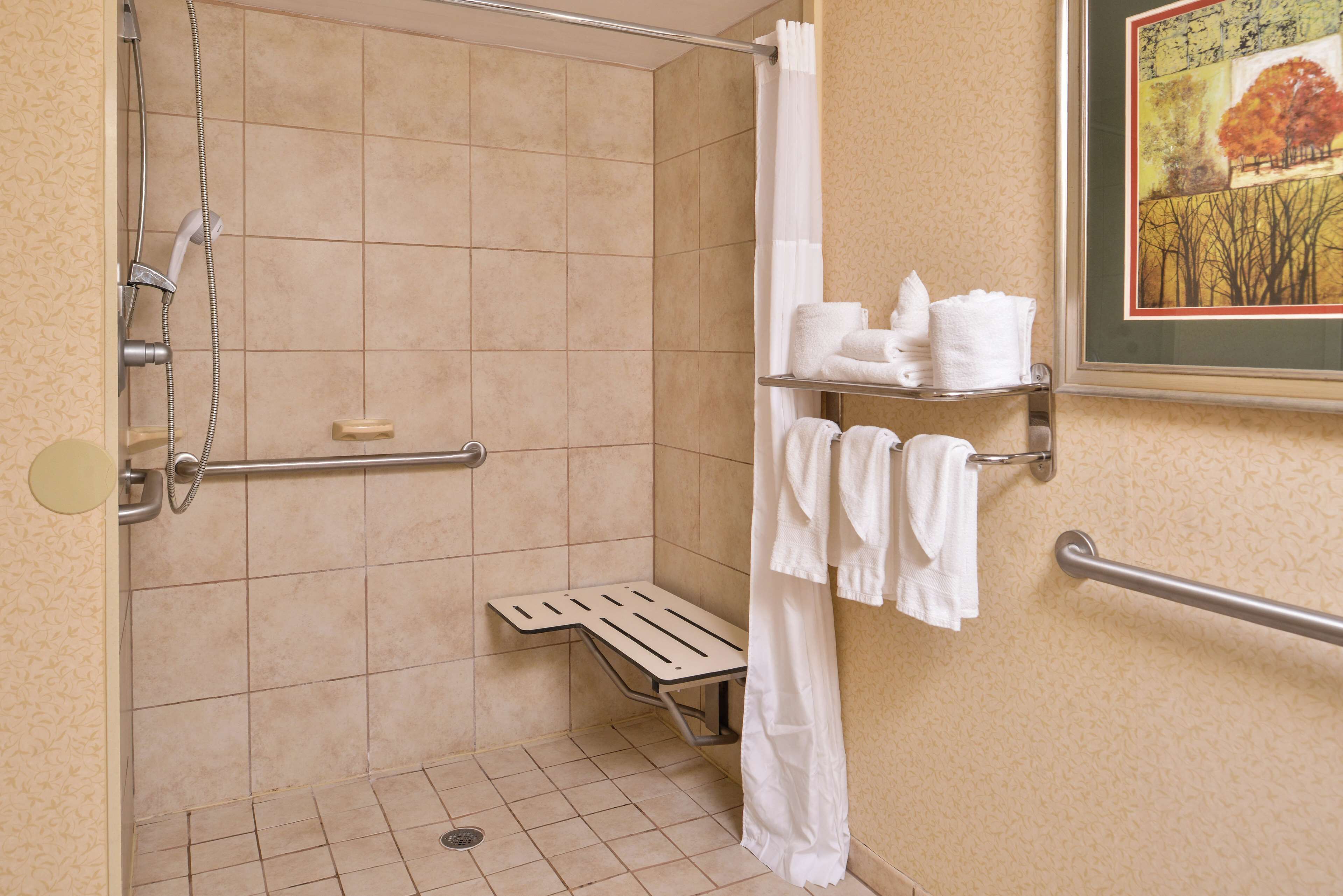 room, 1 king bed, accessible (roll-in shower, mobility & hearing) | bathroom | hydromassage showerhead, free toiletries, hair dryer, towels