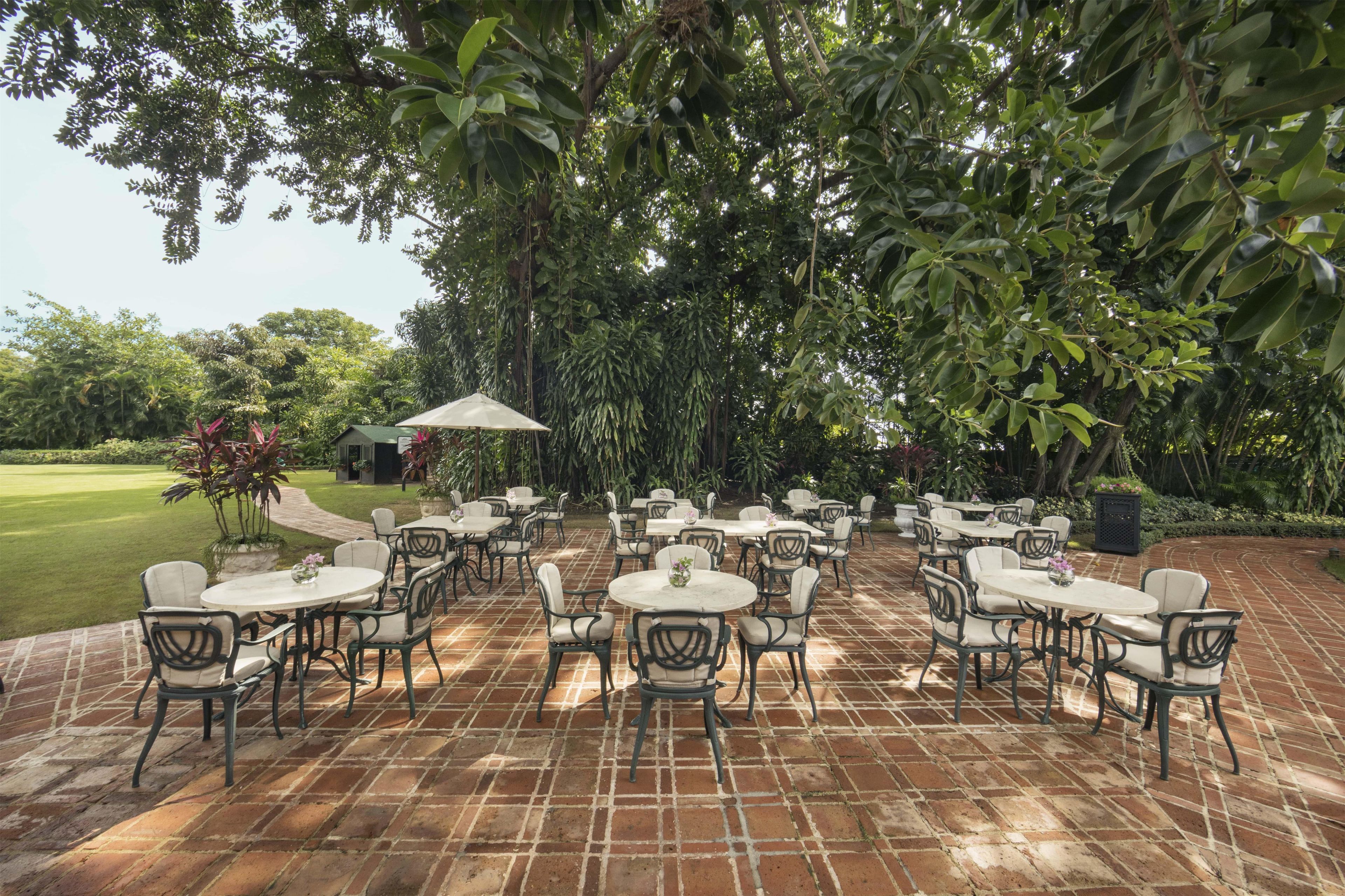 Un patio exterior con suelo de ladrillo, rodeado de exuberante vegetación y árboles.