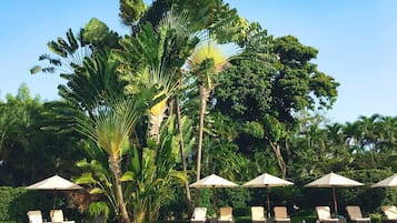 A pool area with lounge chairs and umbrellas, surrounded by tropical foliage.