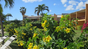 Jardín