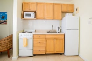 Studio, Kitchenette | Private kitchenette | Microwave, eco-friendly cleaning products
