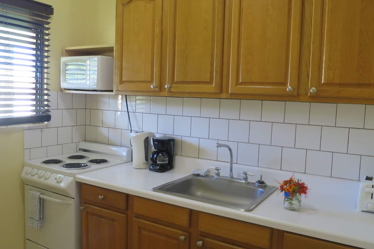 studio, kitchenette | private kitchen | microwave, eco-friendly cleaning products