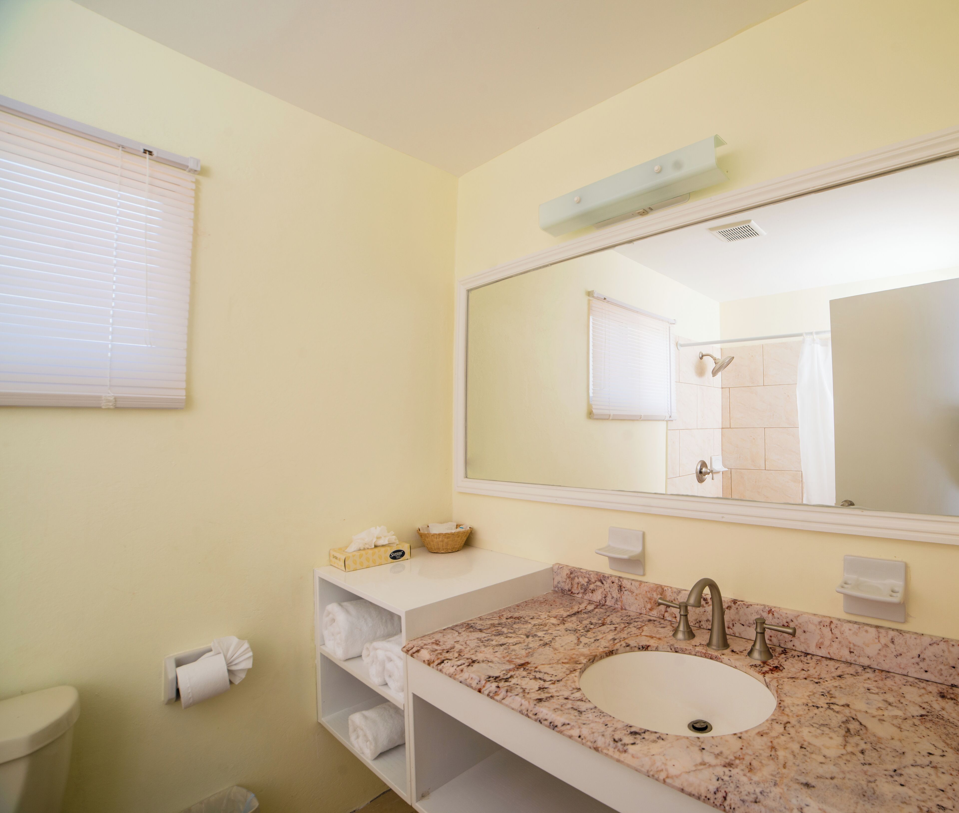 Een badkamer met een marmeren wastafel, een grote spiegel, een handdoekrek en een toilet.