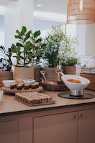 Desayuno buffet todos los días (con cargo)