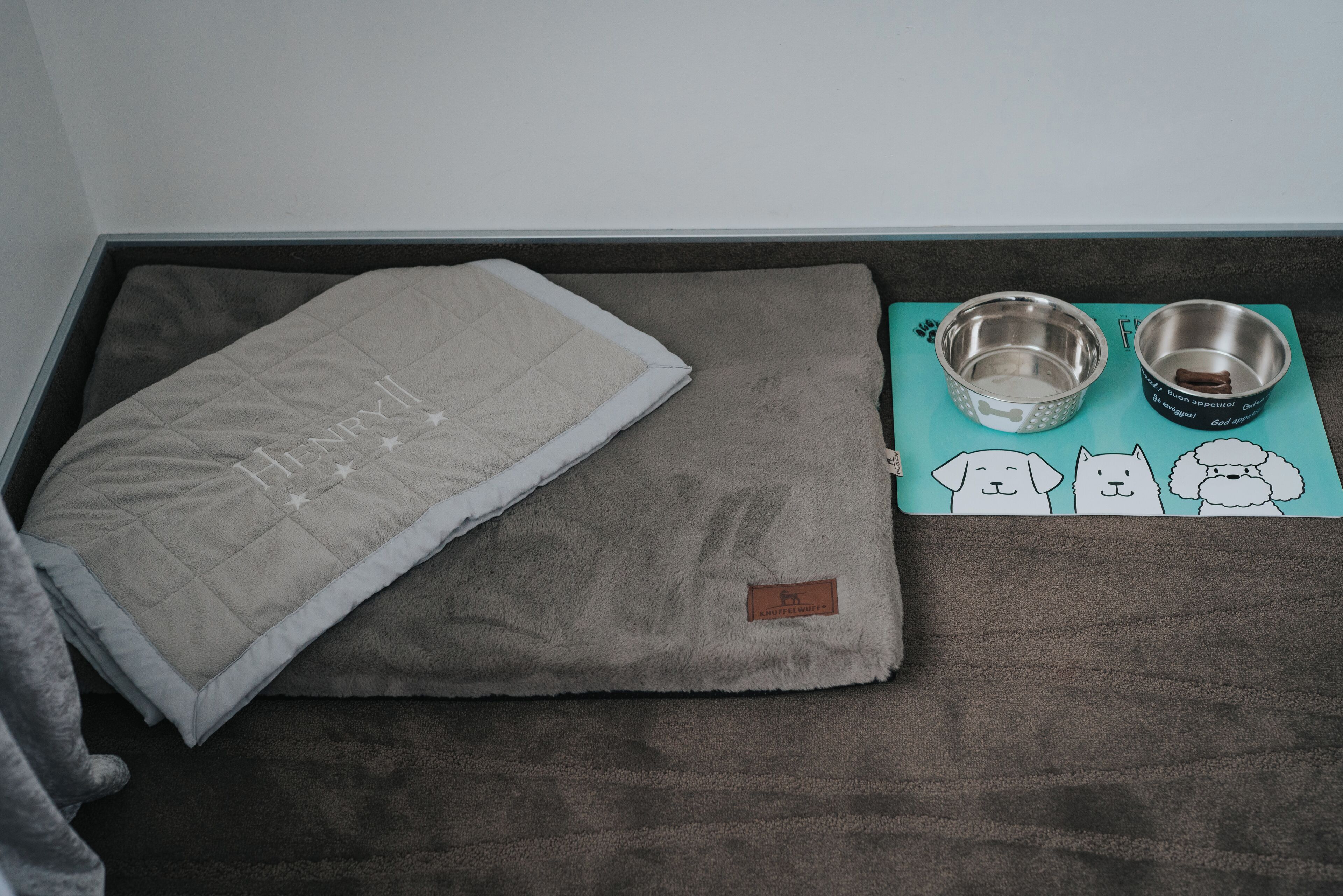 pet-friendly amenities