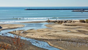 A coastal landscape with a rocky shoreline, a pier extending into the water, and a flock of birds on the beach. - Hilton Garden Inn Dana Point Doheny Beach (Dana Point)