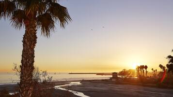 Beach/ocean view