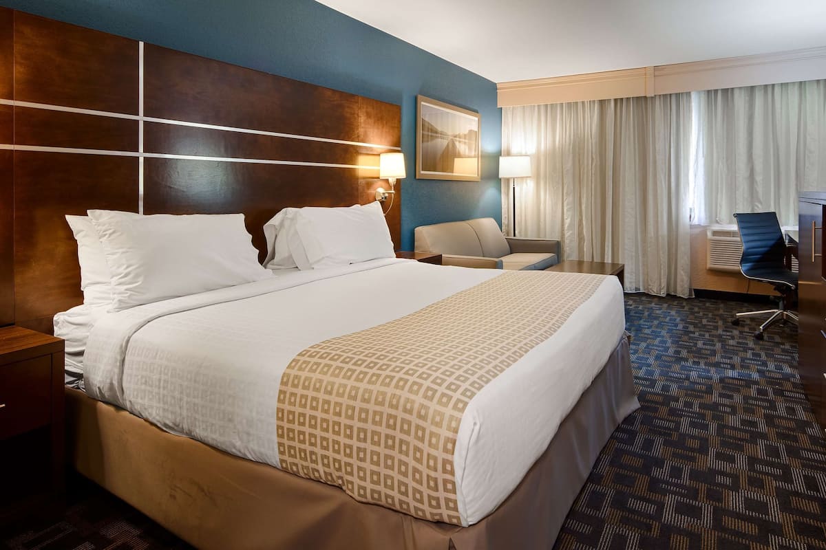 A hotel room with a large bed, a desk, a chair, a TV, and a window with curtains.