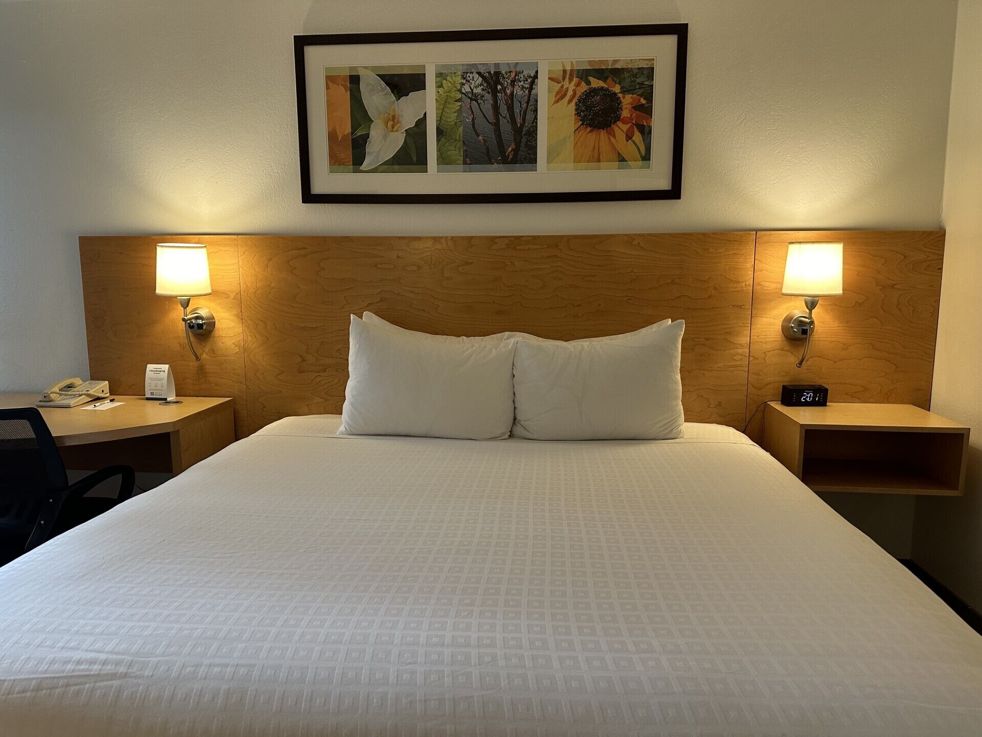 Foto - Hotel Nexus; BW Signature Collection