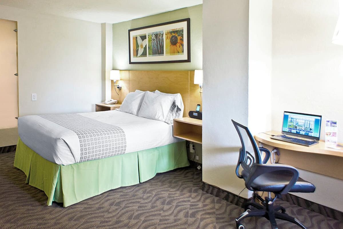 Rom – standard, 1 queensize-seng, ikke-røyk, kjøleskap og mikrobølgeovn | Skrivebord, skrivebord for bærbar PC og strykejern/-brett