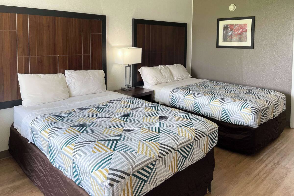 A hotel room with two beds, each with a patterned bedspread and white pillows. There is a nightstand with a lamp between the beds.