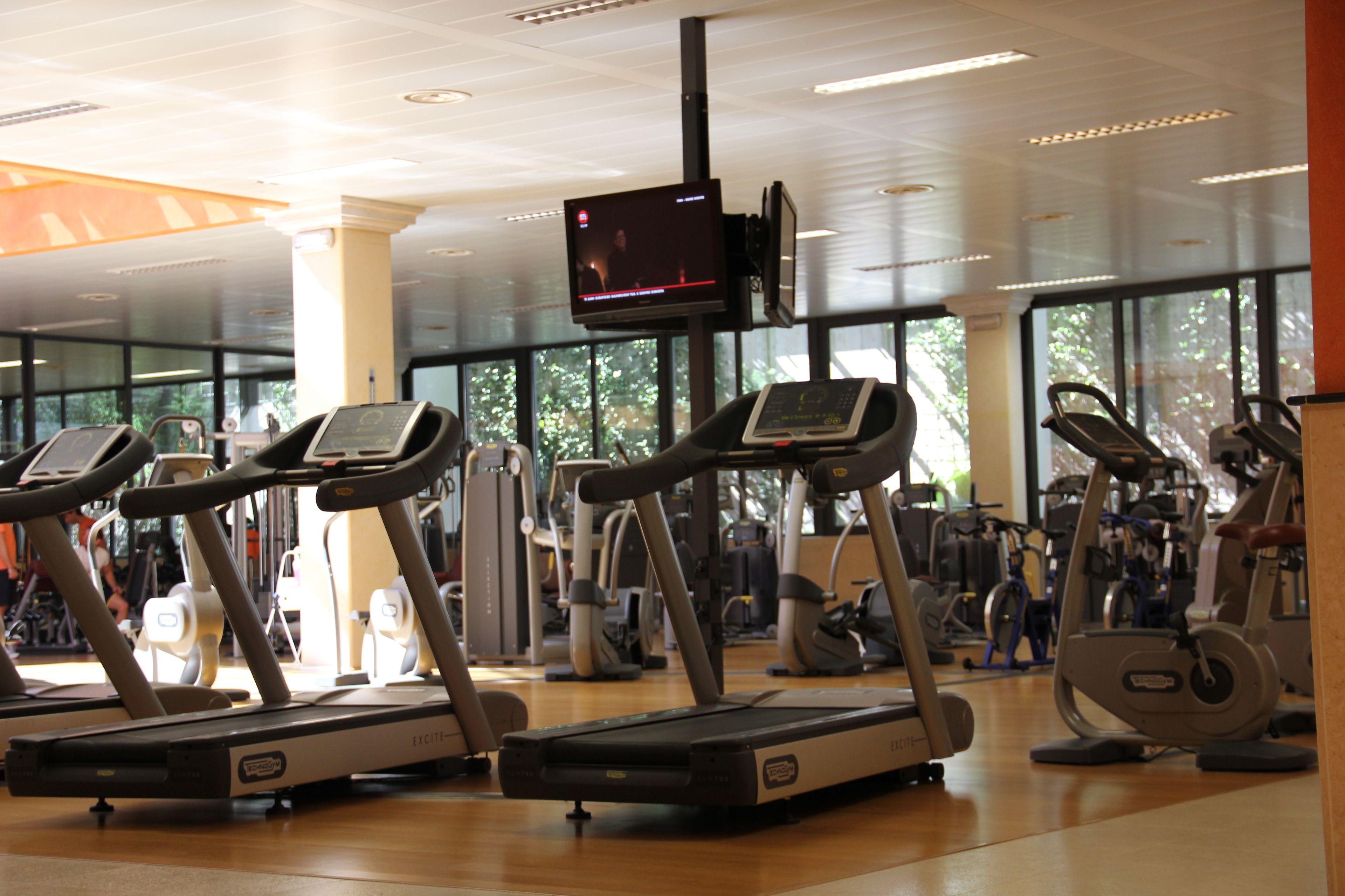 A gym with treadmills, stationary bikes, and other fitness equipment.