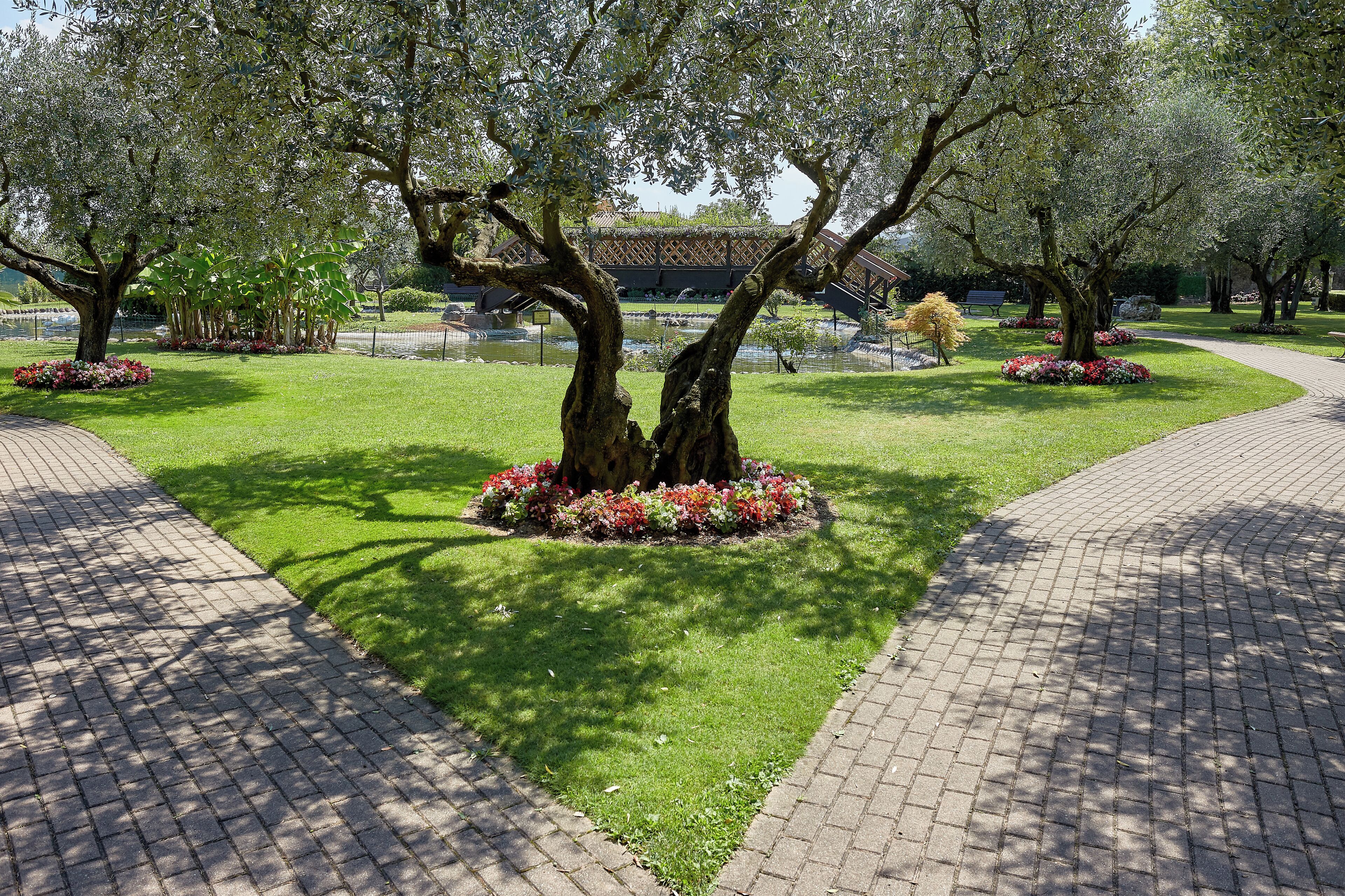 Un jardin bien entretenu, doté d’un chemin pavé, de grands arbres et de parterres de fleurs.