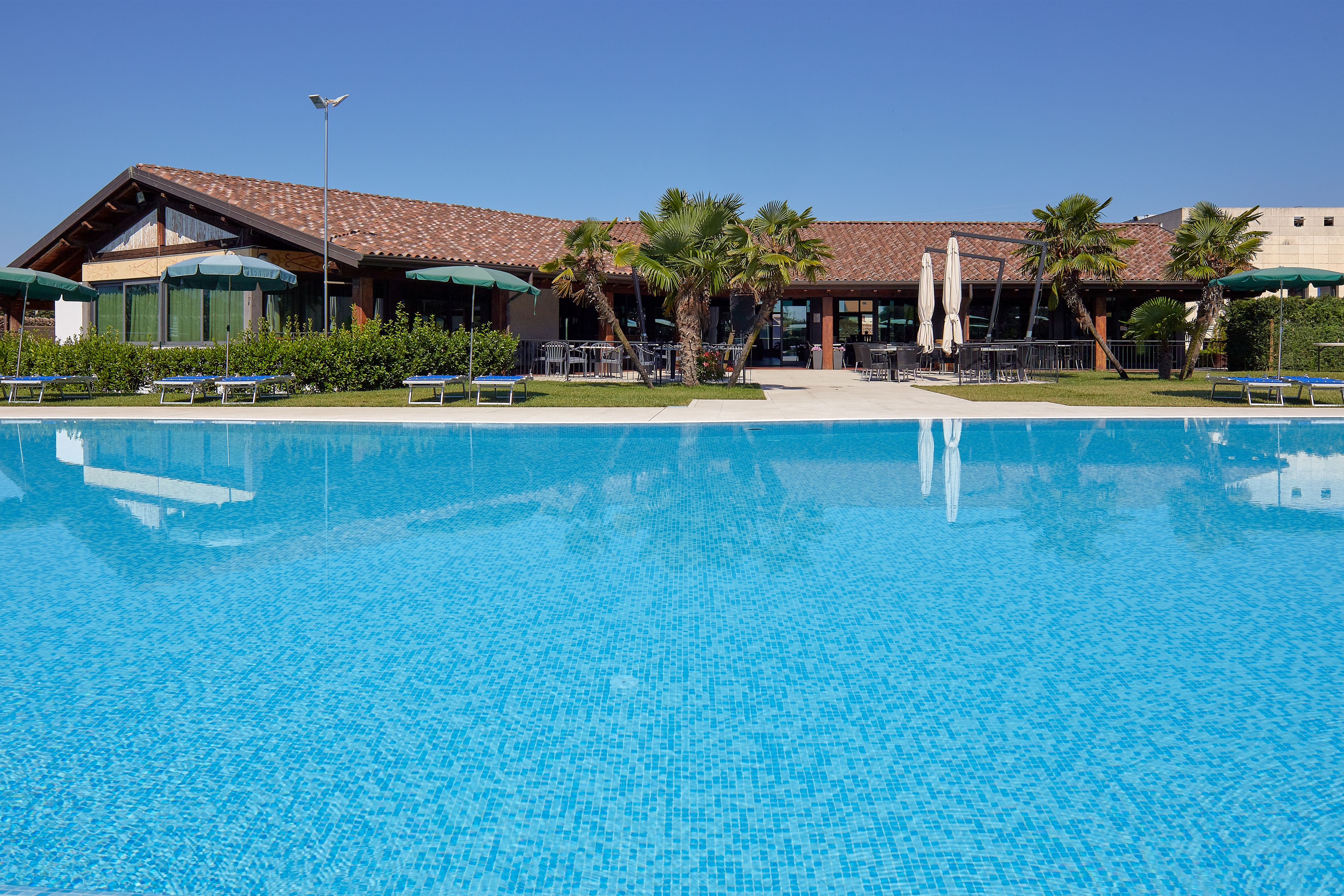 Piscina con sillas de descanso y sombrillas, rodeada de palmeras y un edificio con tejado de azulejos.