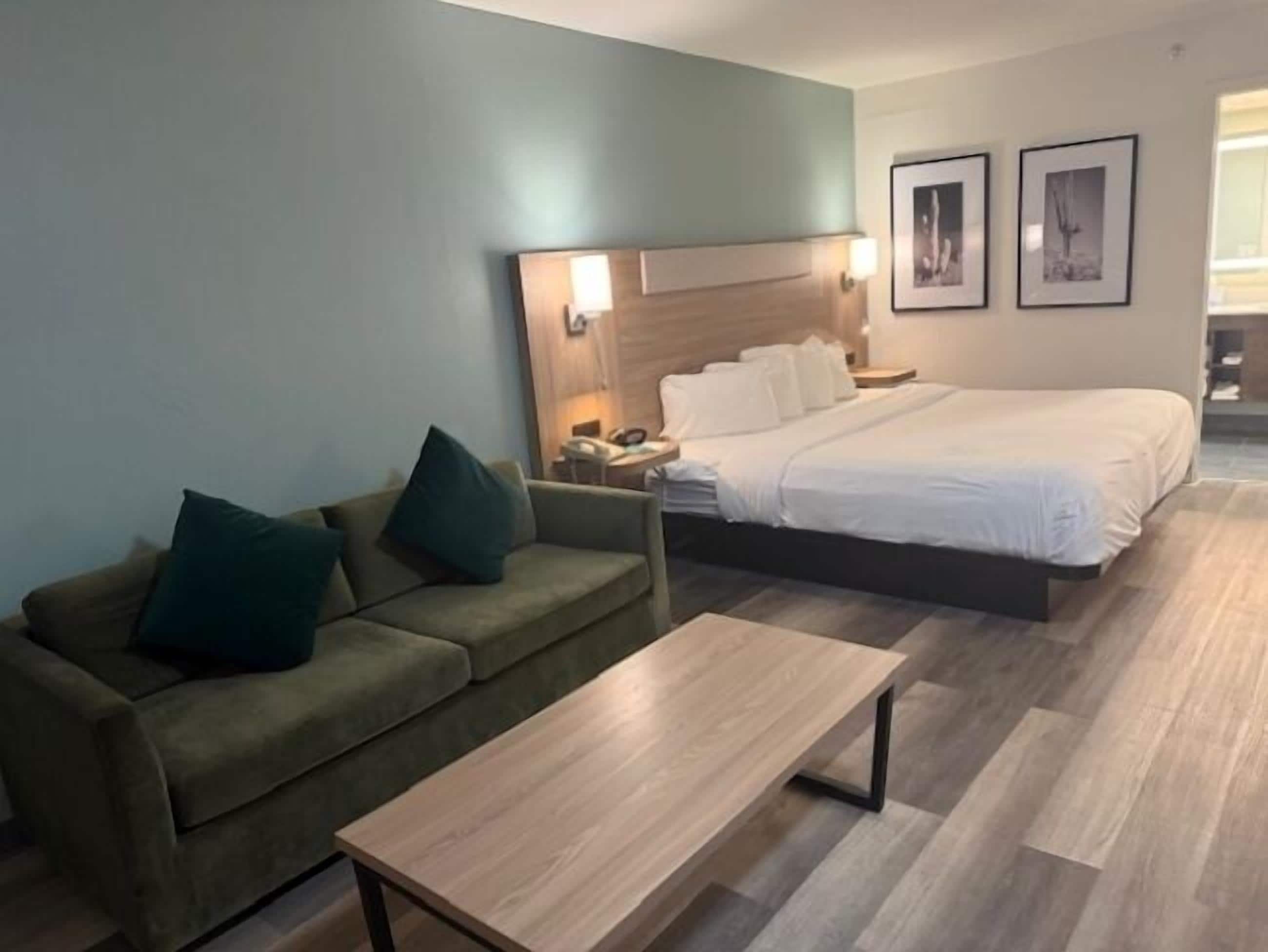 Standard Room, 1 King Bed with Sofa bed, Non Smoking