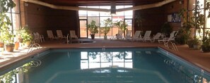 An indoor swimming pool with lounge chairs and potted plants around the perimeter.