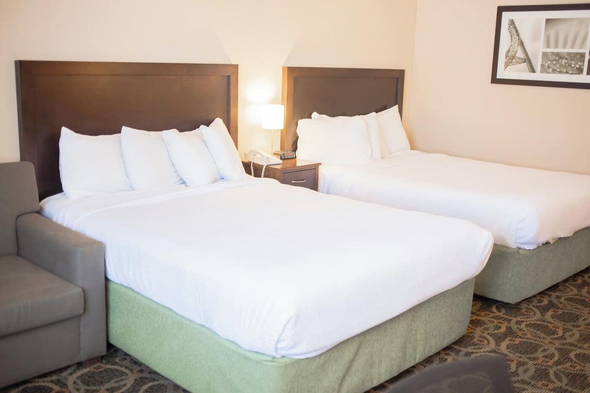 Camera familiare (No Pets) | Wi-Fi gratuito, lenzuola