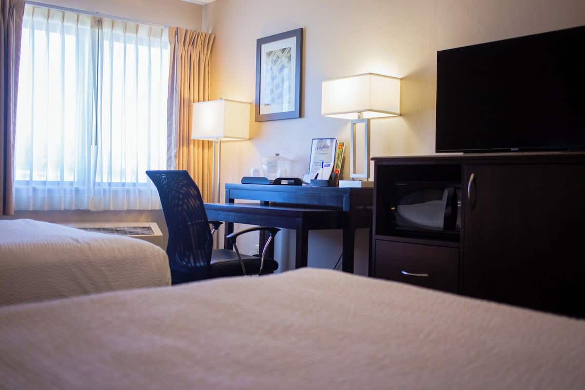 Wi-Fi gratuito, lenzuola