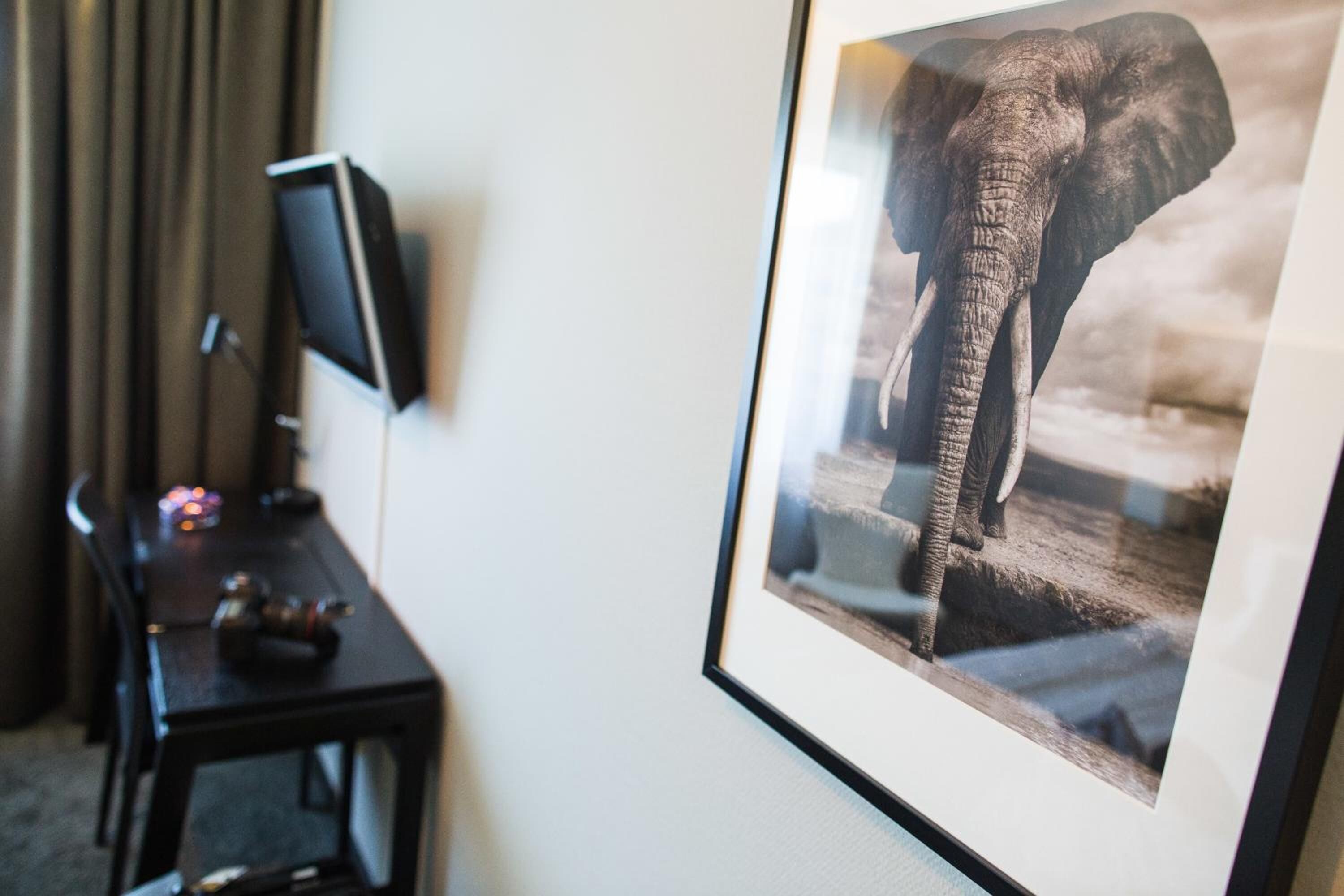 in-room safe, desk, free cots/infant beds, rollaway beds