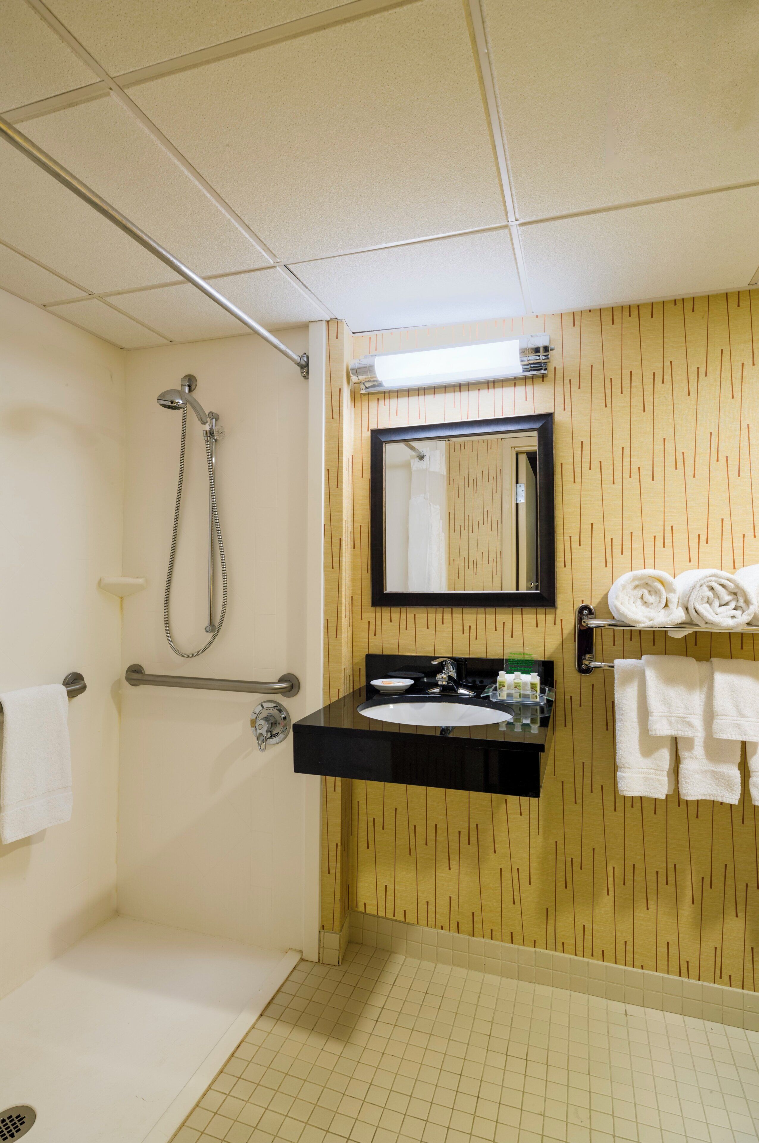 Une salle de bain avec une douche, un lavabo avec un miroir et des serviettes sur un porte-serviettes.