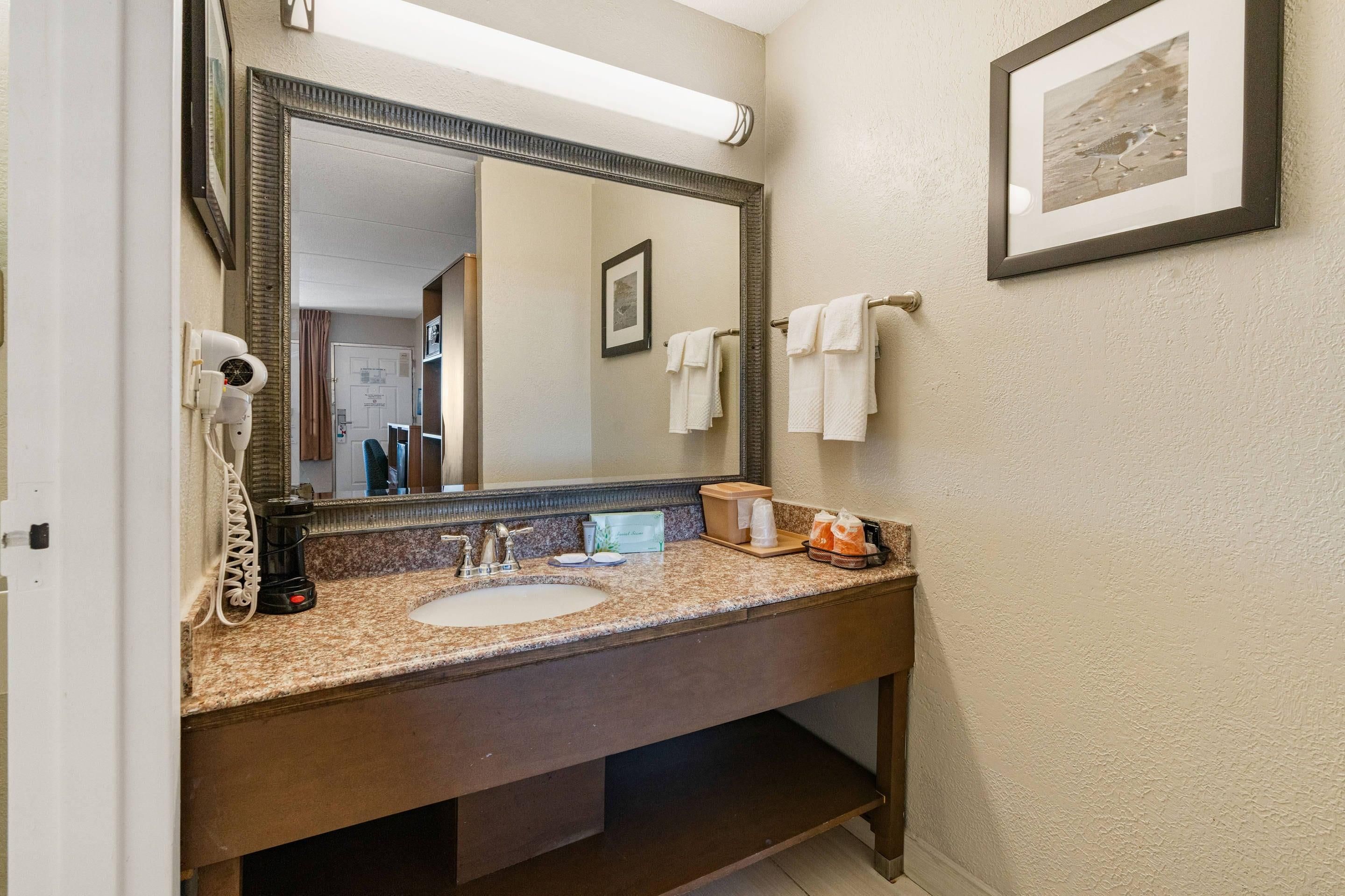 A bathroom with a large mirror, a sink, a hairdryer, and a framed picture on the wall.