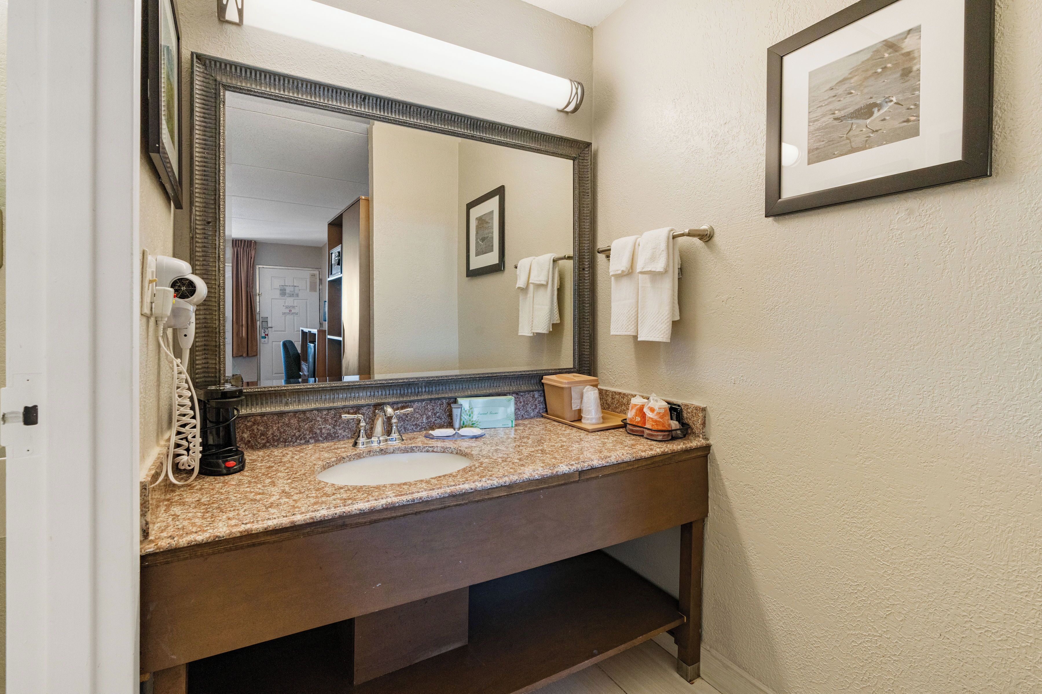 A bathroom with a large mirror, a sink, a hairdryer, and a framed picture on the wall.